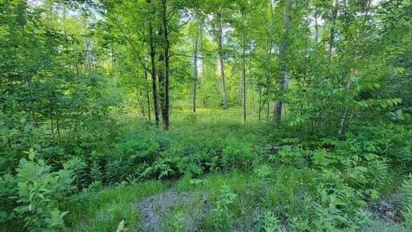 On BRADY LANE, Elcho, WI 54428