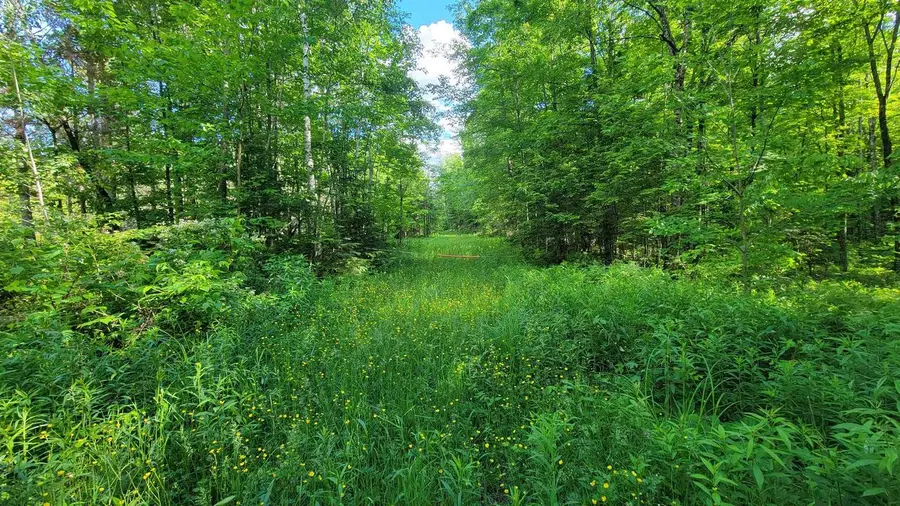 on HUNTING RIVER ROAD, Elcho, WI 54428 - #2