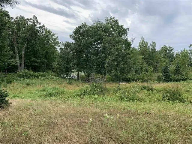 LOT 14 WOOD DUCK TRAIL, Wisconsin Rapids, WI 54457 - #1
