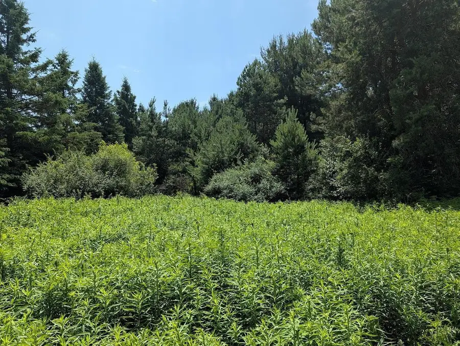 DIANA CIRCLE DRIVE #Lot 4, Merrill, WI 54452 - #2