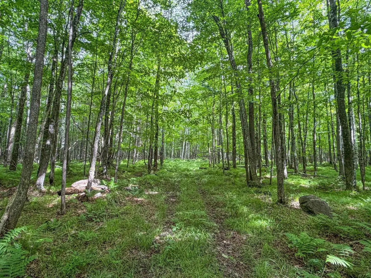 30 A E DOVER ROAD, Phillips, WI 54555 - #1