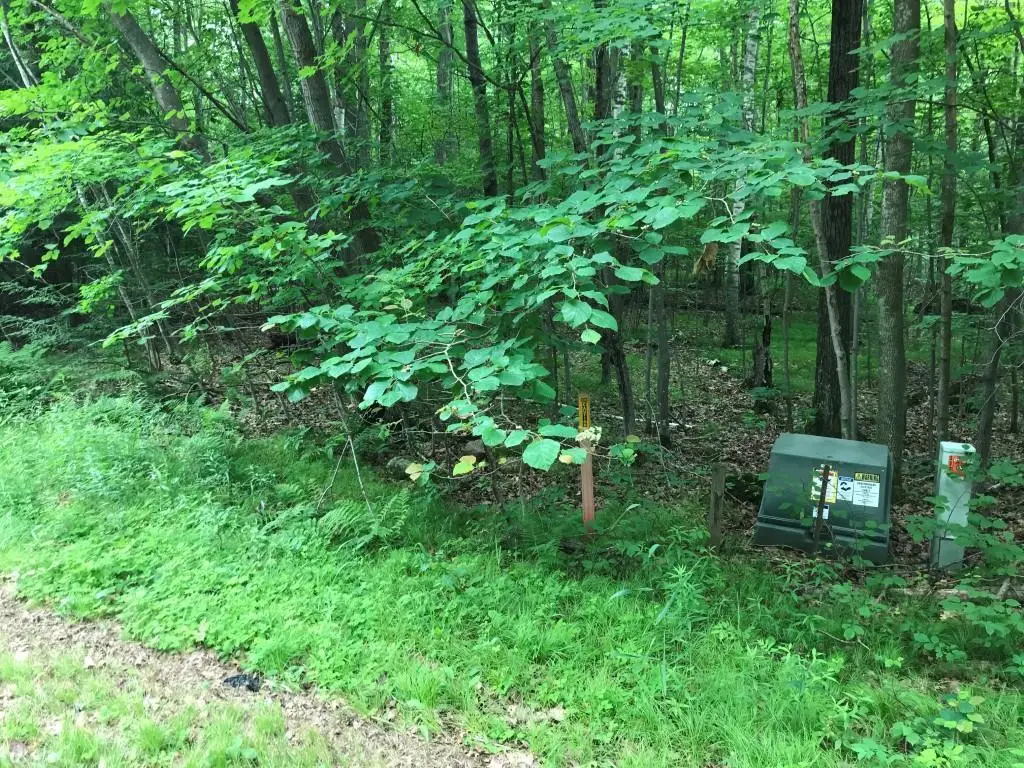 6.47 Acres THUMPER DRIVE, Ringle, WI 54471 - #1
