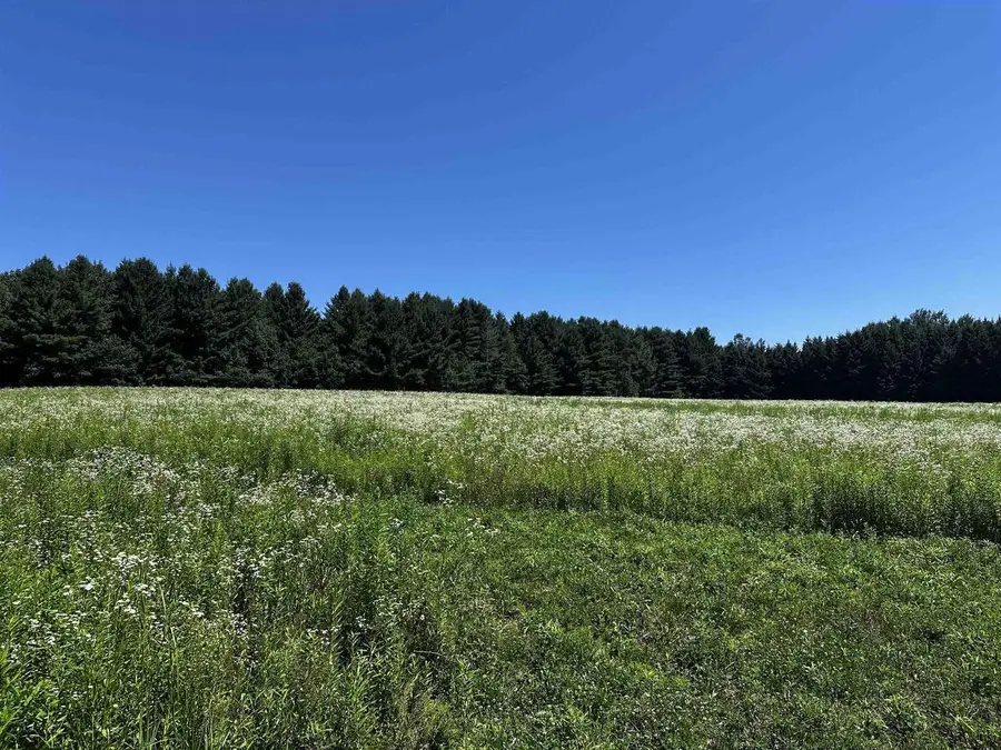 02 PELICAN BAY DRIVE, Mosinee, WI 54455 - #3