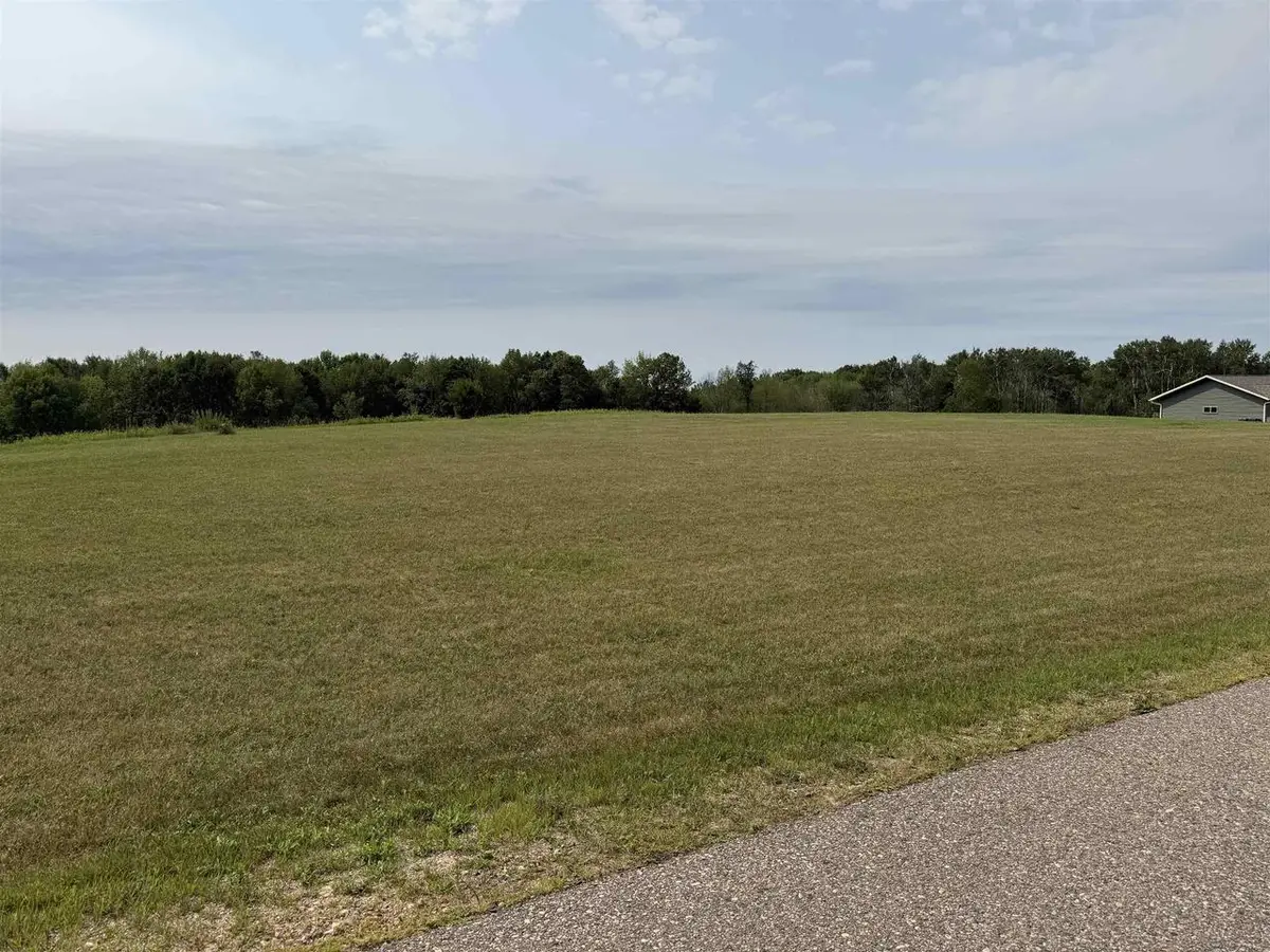 503 NICHOLAS AVENUE, Wittenberg, WI 54499 - #1
