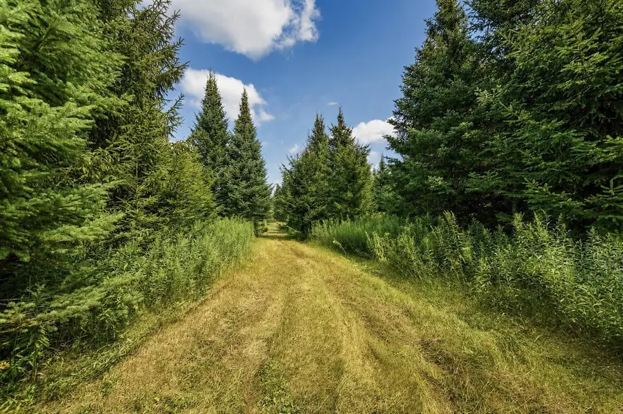 00 STATE HIGHWAY 17, Merrill, WI 54452 - #2