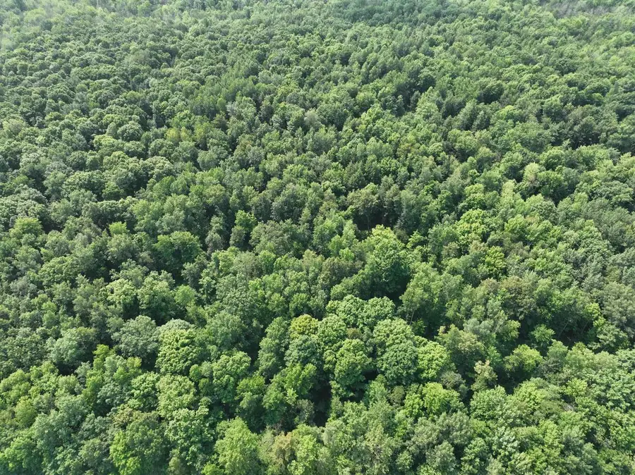 Lot 14 BURMA ROAD, Mosinee, WI 54455 - #3