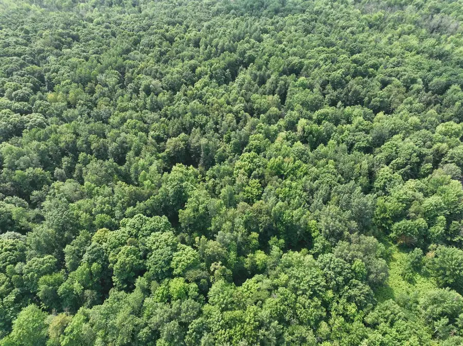 Lot 15 BURMA ROAD, Mosinee, WI 54455 - #3