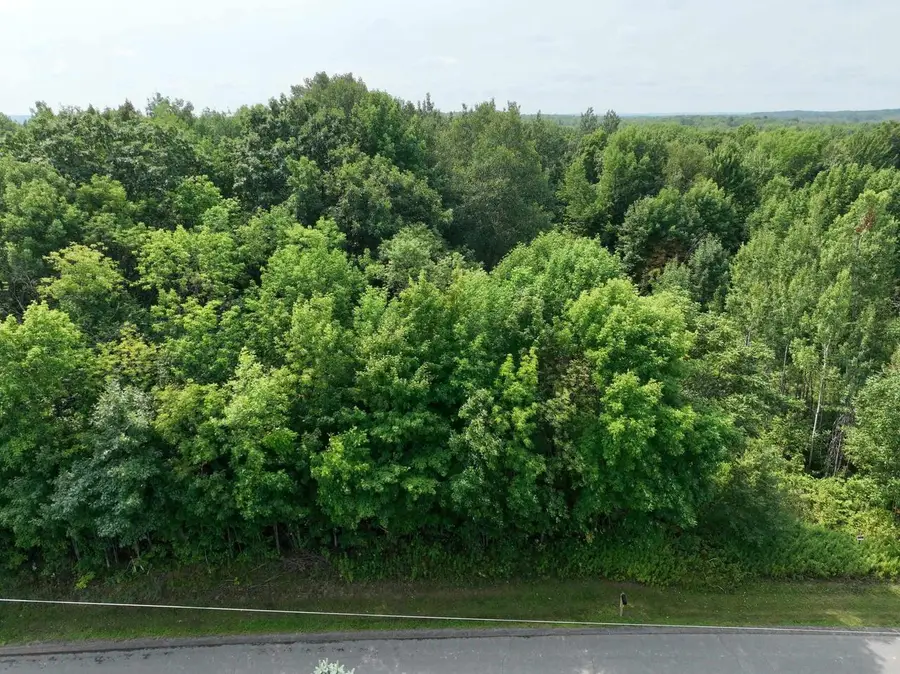 Lot 16 BURMA ROAD, Mosinee, WI 54455 - #2