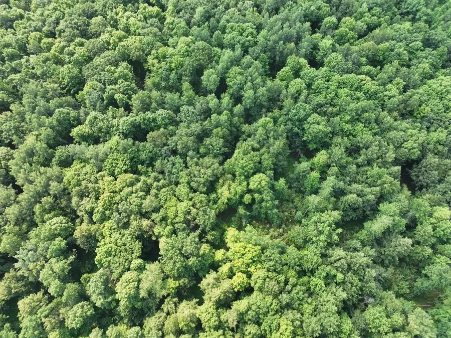 Lot 18 BURMA ROAD, Mosinee, WI 54455 - #3