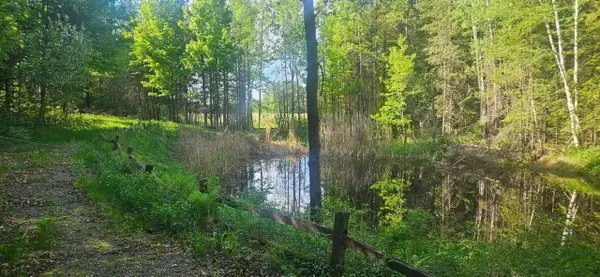On FIGI ROAD, FIFIELD, WI 54552