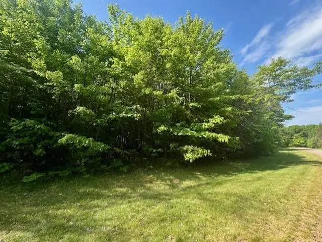 N8823 DICKERSON AVENUE, Willard, WI 54493 - #3