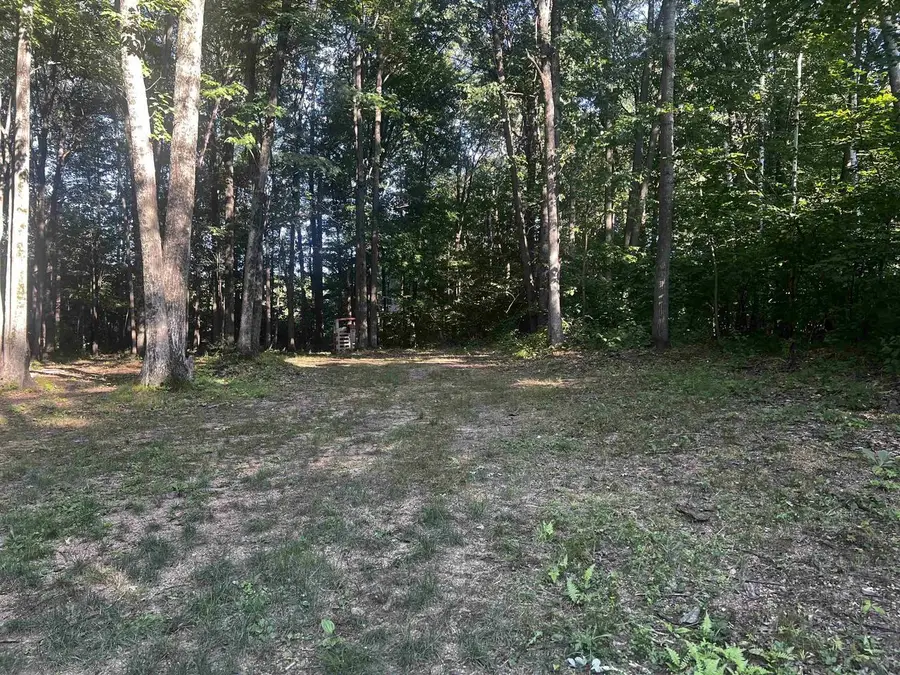 Lots 7 & 16 OTTER LANE, Mosinee, WI 54455 - #3