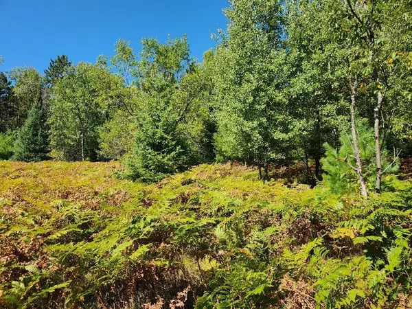 On COUNTY ROAD K #Lot 9, Harshaw, WI 54529
