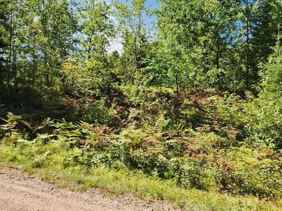 On COUNTY ROAD K #Lot 9, Harshaw, WI 54529 - #2