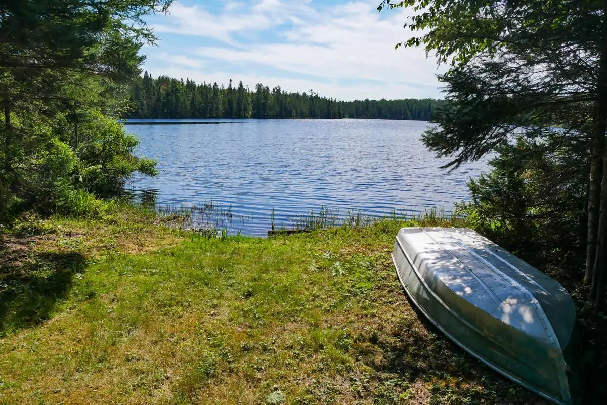 +/-499.15 ac HORSESHOE LAKE AVENUE, Medford, WI 54451 - #1
