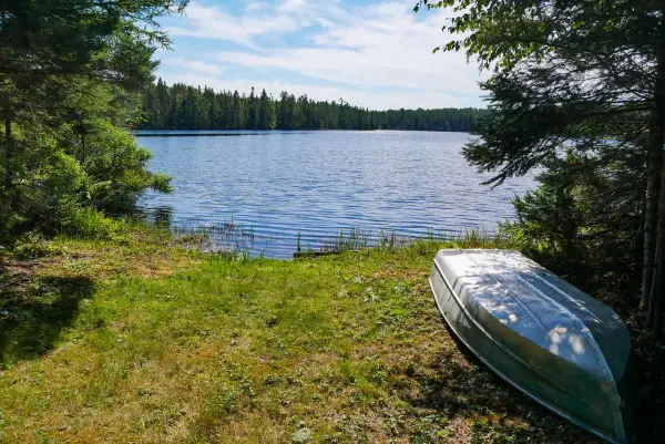 +/-499.15 ac HORSESHOE LAKE AVENUE, Medford, WI 54451