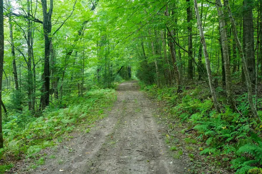 +/-499.15 ac HORSESHOE LAKE AVENUE, Medford, WI 54451 - #3