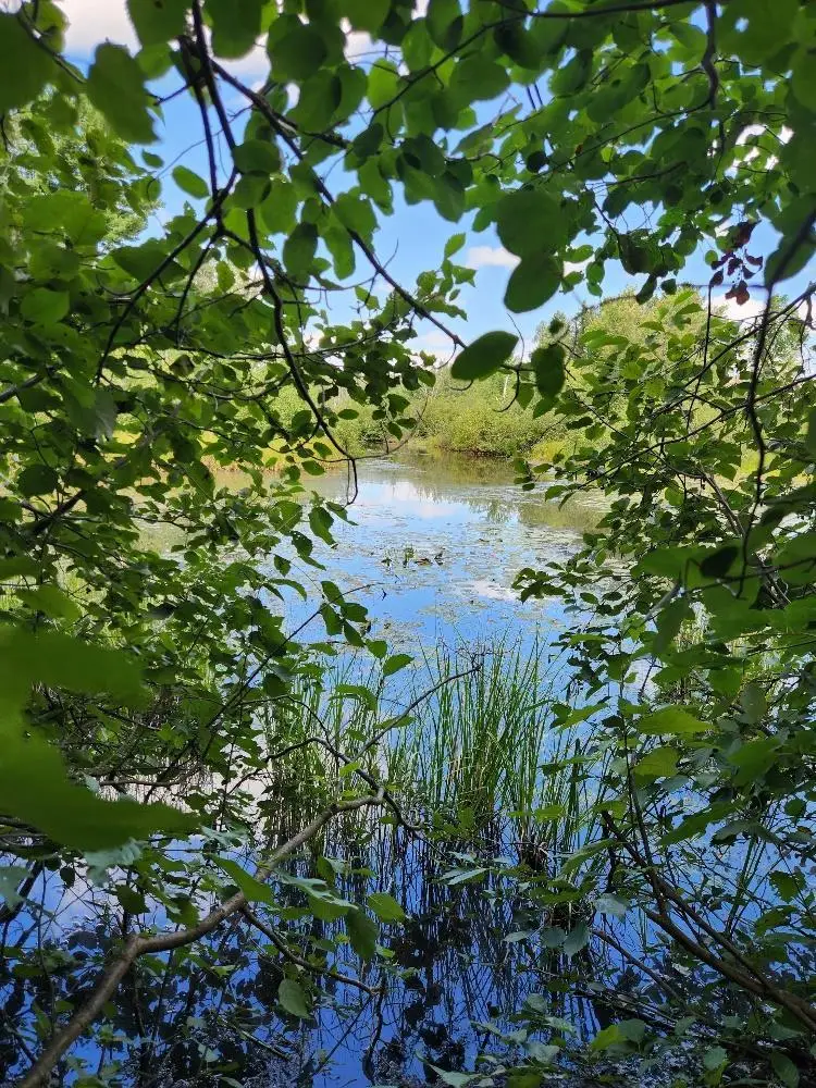 On PENINSULA DRIVE #Lots 6 + 7, Phillips, WI 54555 - #1