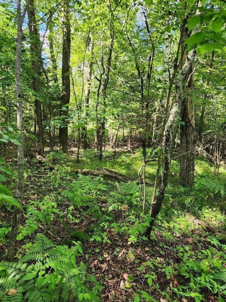 On PENINSULA DRIVE #Lots 6 + 7, Phillips, WI 54555 - #3