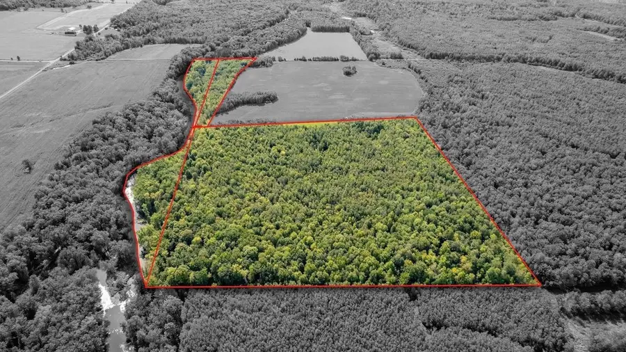 000 BAHNKES AVENUE, Maplehurst, WI 54459 - #2