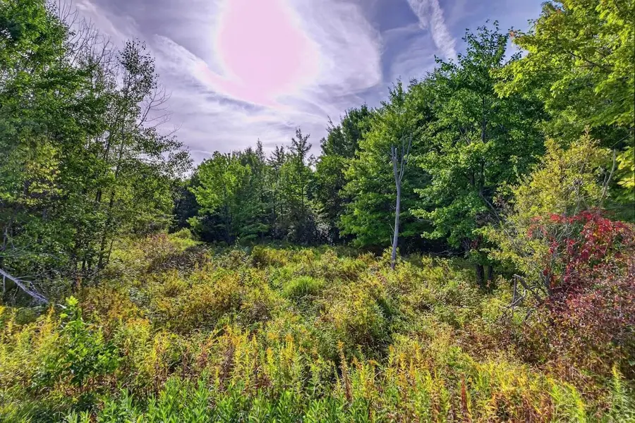 18.4 Acres ZUBELLA ROAD, Rudolph, WI 54475 - #3