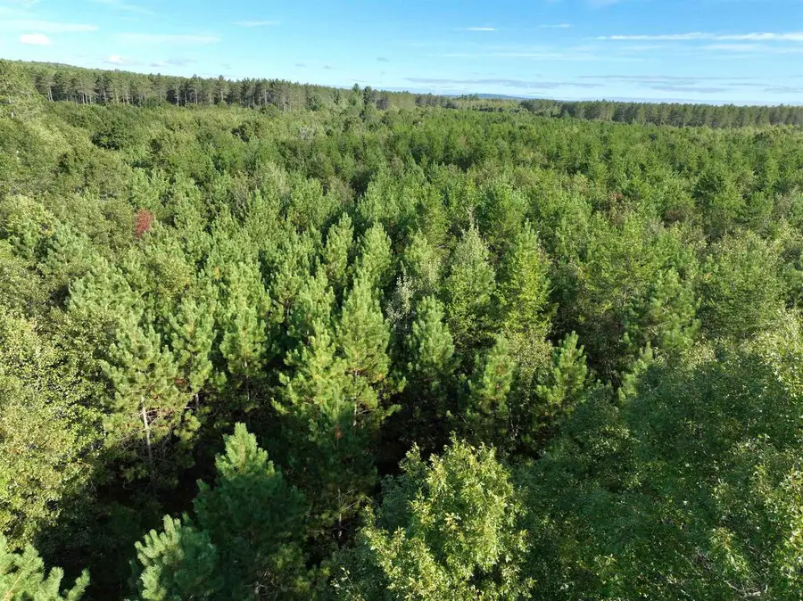 Lot 3 SCOUT ROAD, Mosinee, WI 54455 - #2