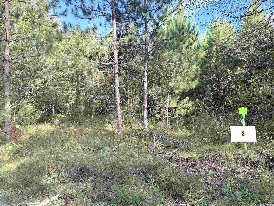 Lot 3 SCOUT ROAD, Mosinee, WI 54455 - #3