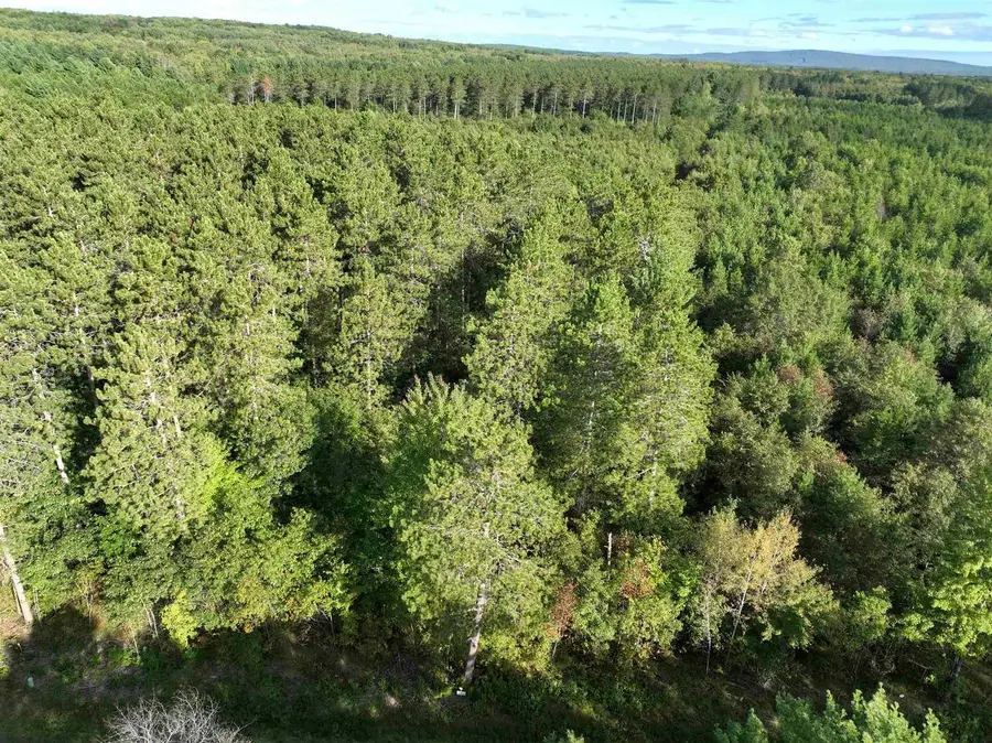 Lot 4 SCOUT ROAD, Mosinee, WI 54455 - #2