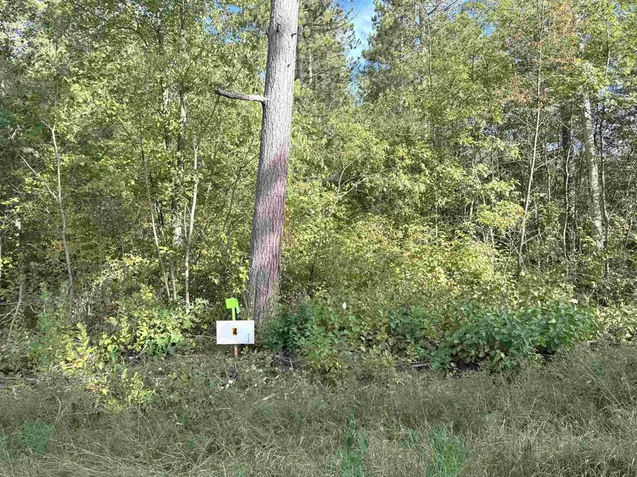 Lot 4 SCOUT ROAD, Mosinee, WI 54455 - #3