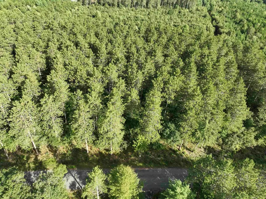 Lot 5 SCOUT ROAD, Mosinee, WI 54455 - #2