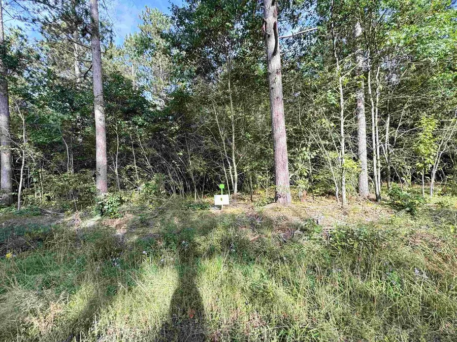 Lot 6 SCOUT ROAD, Mosinee, WI 54455 - #3