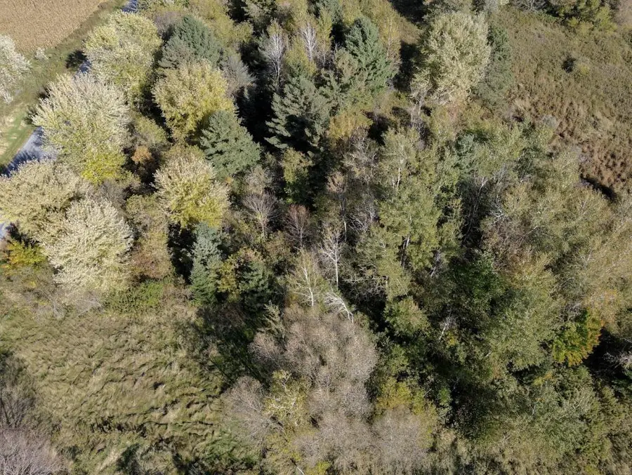2.74 Acres STETTIN DRIVE, Marathon, WI 54448 - #2