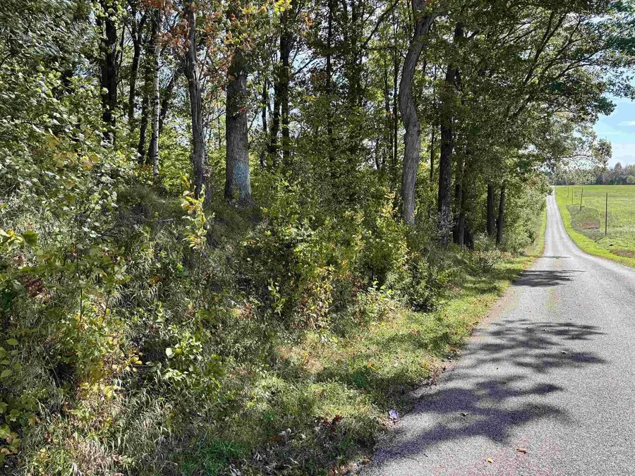 Lot 1 BRANDT ROAD #Parcel #07 33 31, Iola, WI 54945 - #3