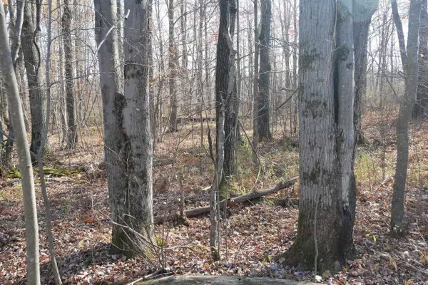 +/-5.17 Acres COUNTY LINE ROAD, Gilman, WI 54433