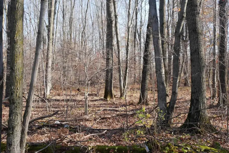 +/-5.17 Acres COUNTY LINE ROAD, Gilman, WI 54433 - #3