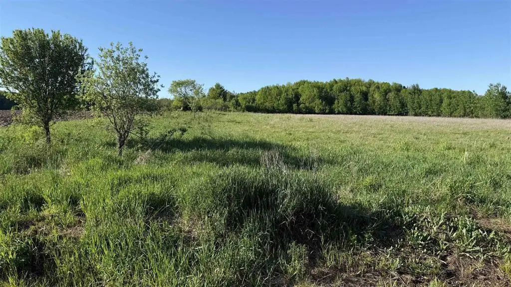 Lot 1 COUNTY ROAD Z, Ringle, WI 54471 - #1