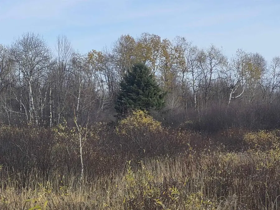 000 SAWMILL ROAD, Wausau, WI 54403 - #3