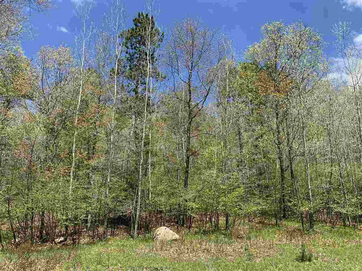 Lime Ridge Road #32, Shawano, WI 54166-0000 - #1