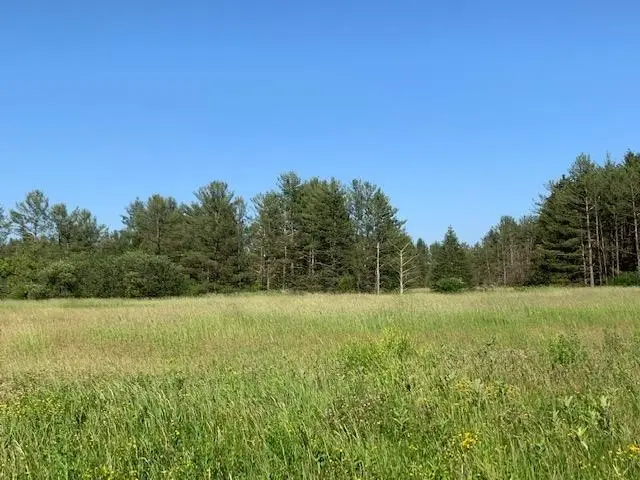 1009 Mill Pond Circle, Weyauwega, WI 54983 - Image #2