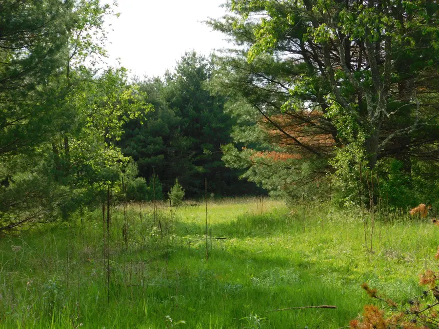 W606 Joe Johnson Road, Suring, WI 54174-9447 - Image #2