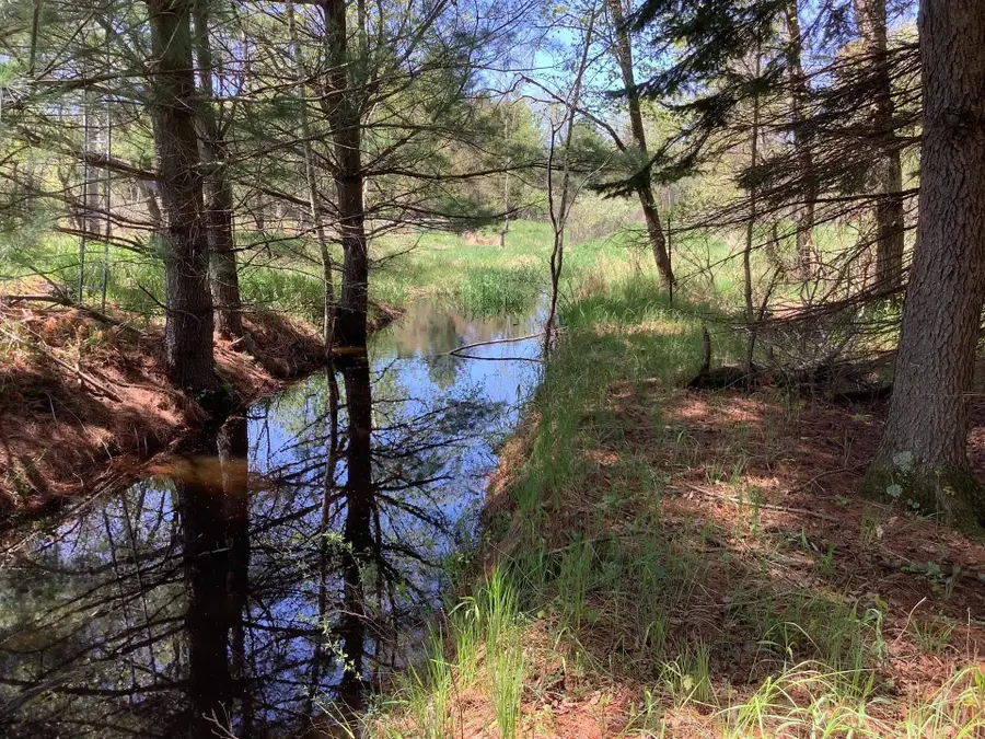 County Rd Ah, Fremont, WI 54940 - Image #2