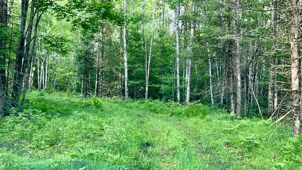 Faucett Lane, PEMBINE, WI 54156