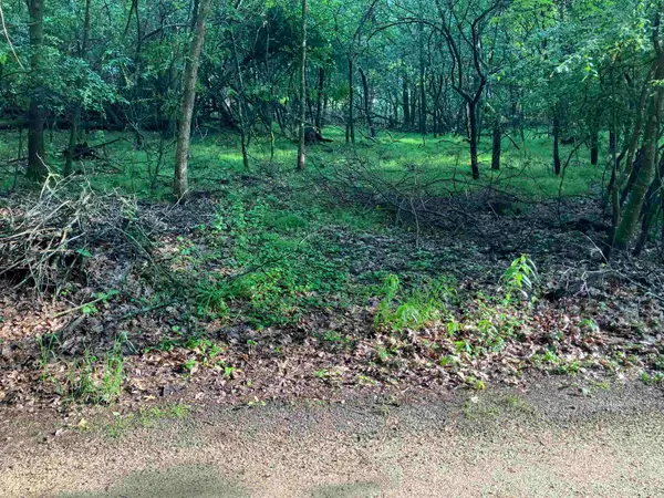 Echo Lake Road, WILD ROSE, WI 54984