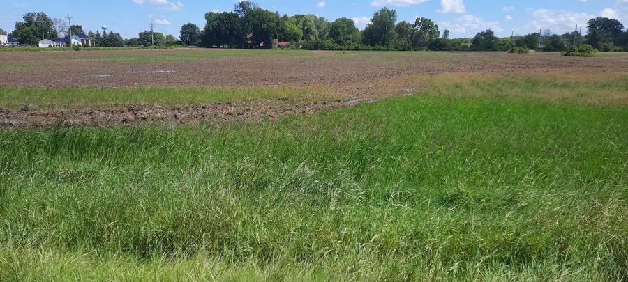 Shawano Street, New London, WI 54961 - Image #2