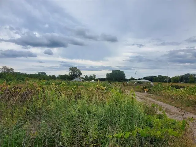 4160 Jackson Street, Oshkosh, WI 54901 - Image #3