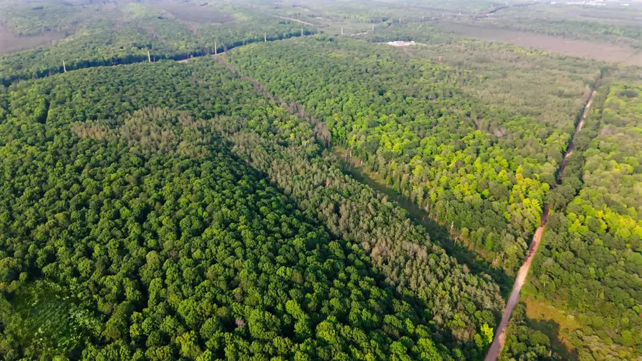 Tower Road #5, Crandon, WI 54520 - Image #3