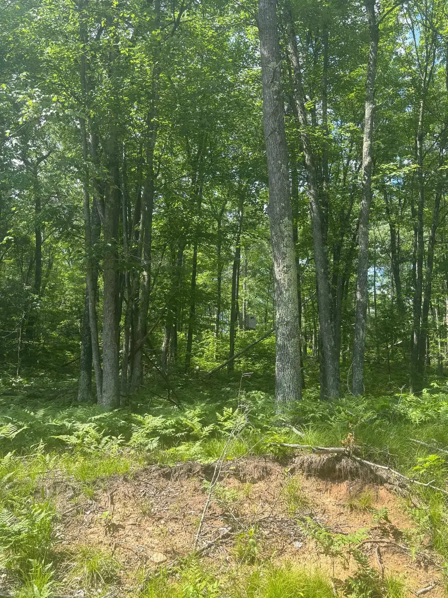 Bennett Road #6, Amberg, WI 54102 - Image #3