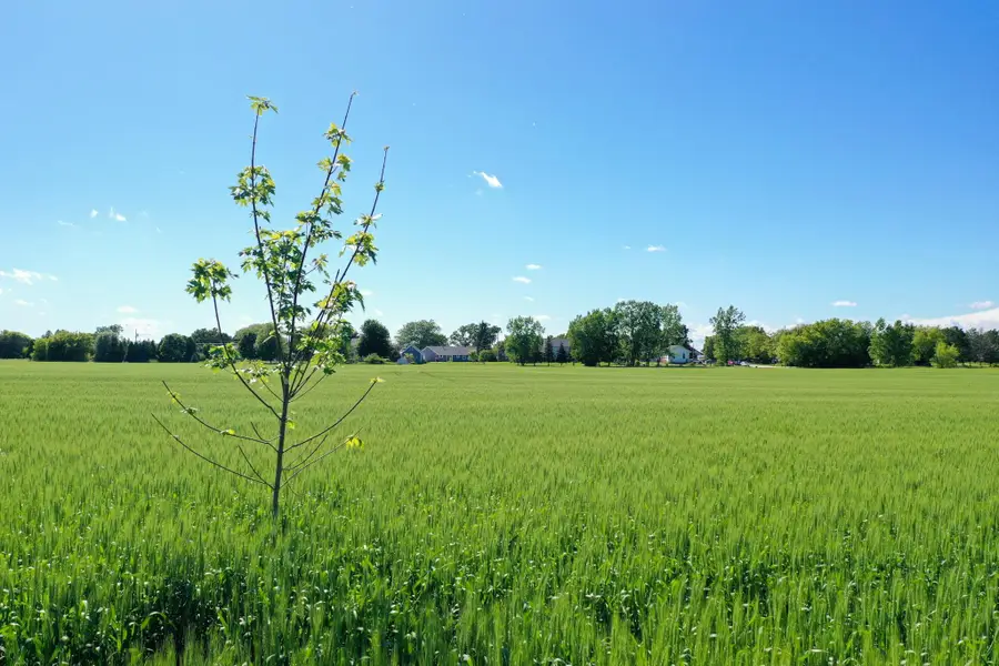 Bay Settlement Road, Green Bay, WI 54311 - #2