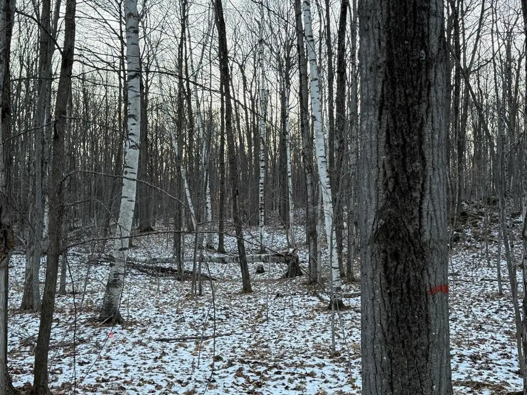 Orchard View Lane, Brussels, WI 54204 - Image #1