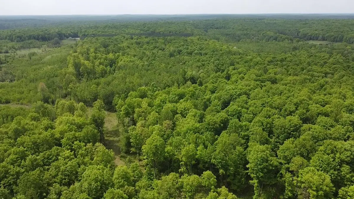 Hwy 70 #2, Tipler, WI 54542 - Image #1